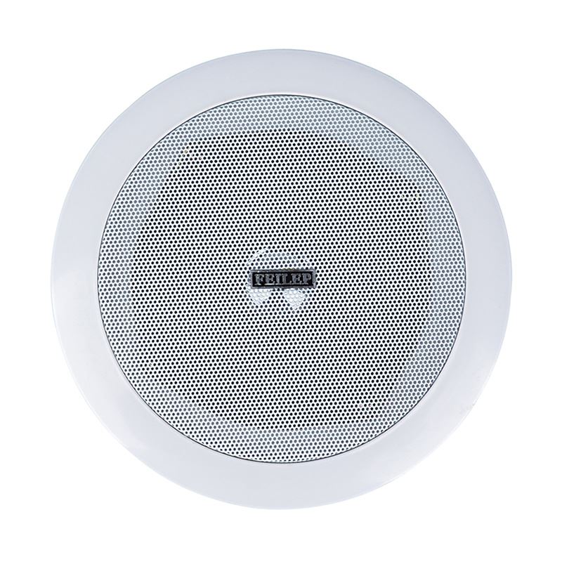 Fire Fighting In Ceiling in Wall Speakers