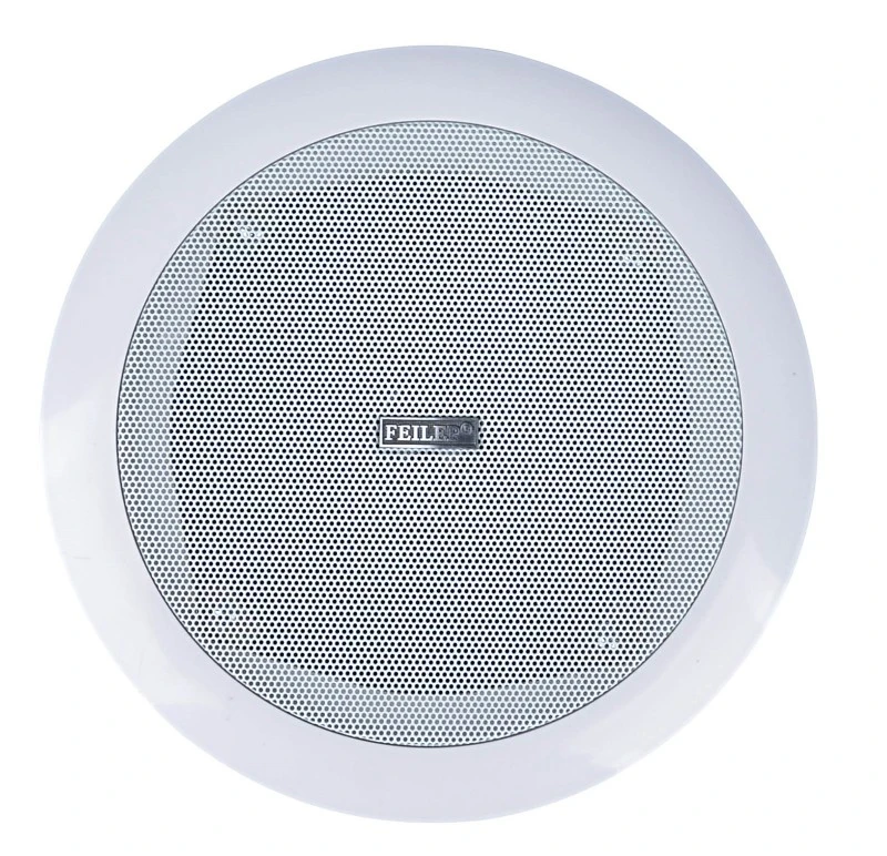 Conference In ceiling in wall speakers 2 Conference In ceiling in wall speakers 2